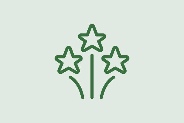 Icon Feuerwerk