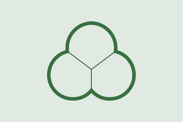 Icon Nano