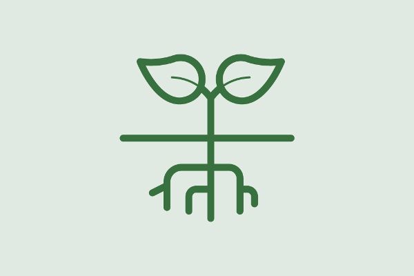 Icon Pflanze in Erde