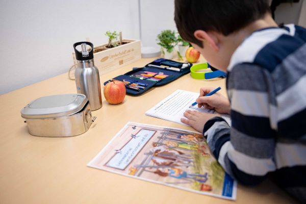 Bub füllt ein Arbeitsblatt aus