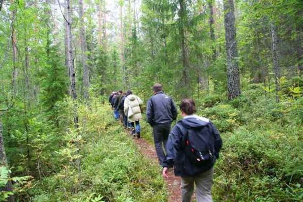 Forstleute beim Begutachten des Waldes