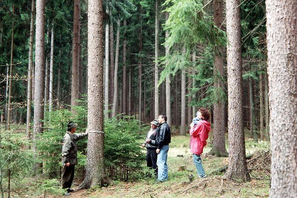 Waldbauern bei der Besichtigung der Bäume