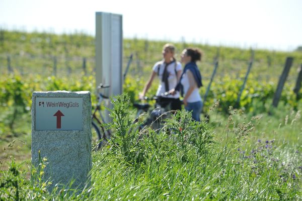 WeinWegGols