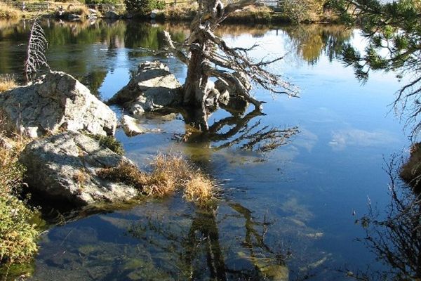 Naturlehrweg "Alpine Lebensgemeinschaften"