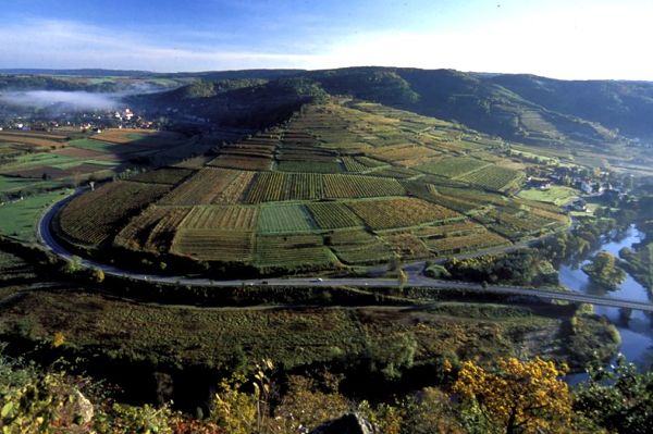 Aussicht Schönberg Stiefern (Kalvarienberg) Waldlehrpfad
