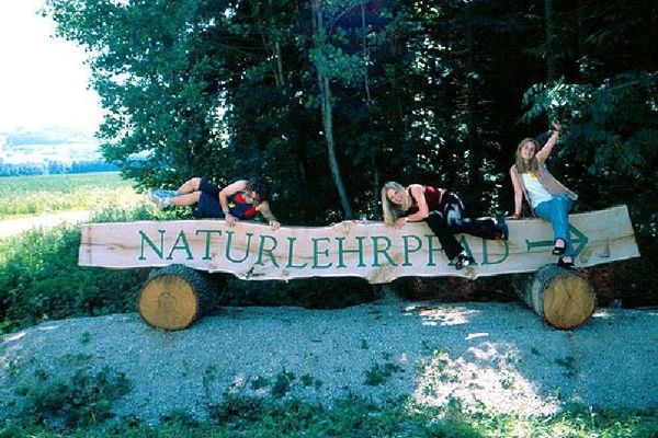 Naturlehrpfad Franzosenwald Seitenstetten