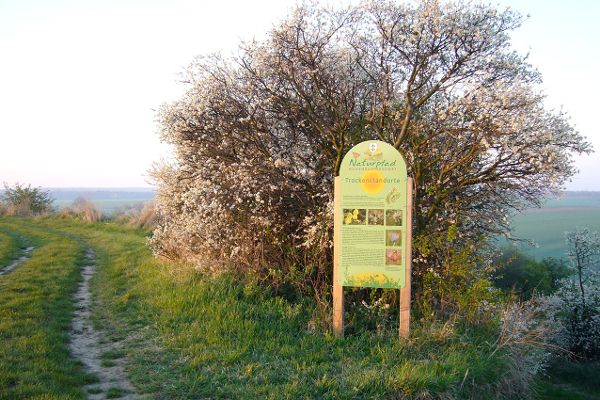 Wein- und Kellergassen-Rundweg