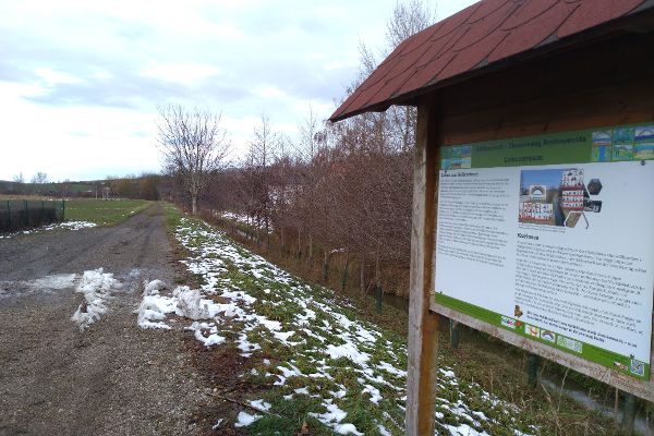 Das Bild zeigt einen leicht beschneiten Güterweg und rechts davon eine Informationstafel zu dem Themenweg Göllersbach