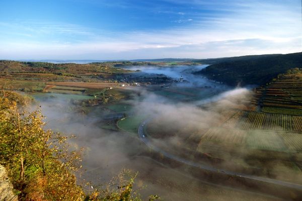 Blick ins Kamptal Richtung Stiefern