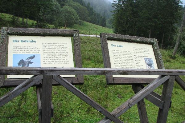 Auf der Alm