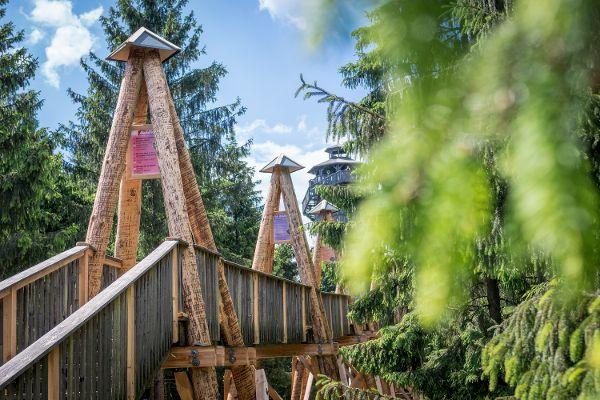 WaldEntdeckerWelt