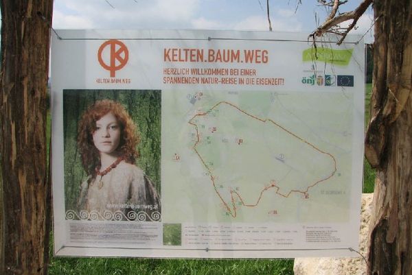 Kelten.Baum.Weg
