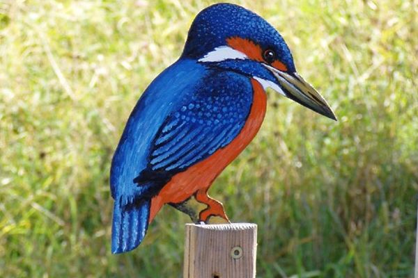 1. Mühlviertler Vogelkundeweg