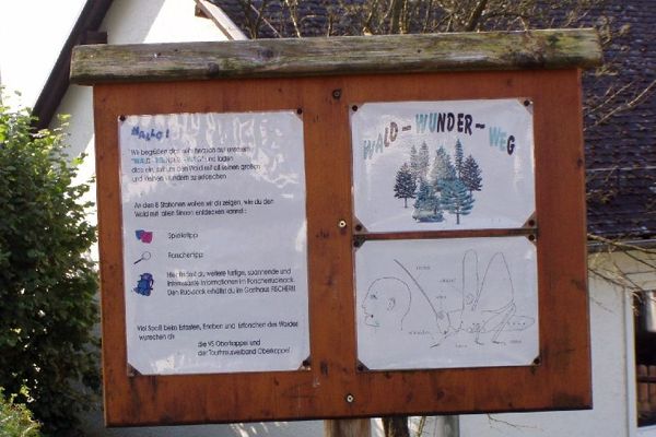 Wald-Wunder-Weg