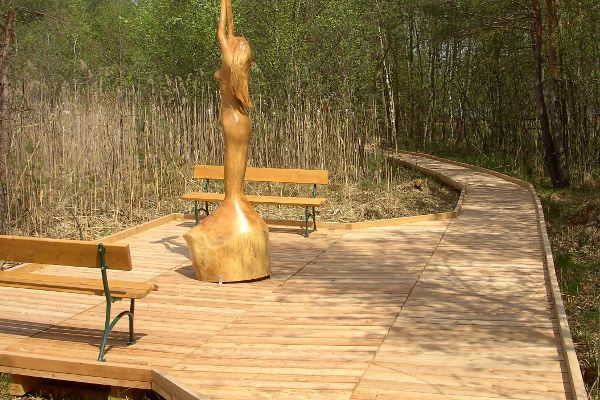 Moorlehrpfad um den Holzöstersee 