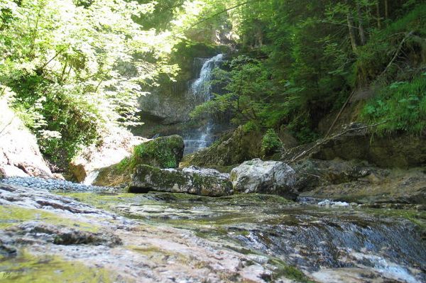 Wald-Wasser-Zauberweg