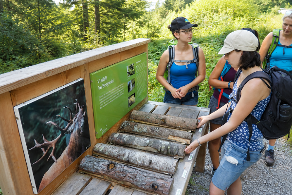 Schülerinnen an einer Informationstafel am Lehrpfad "Natur kennt keine Grenzen"