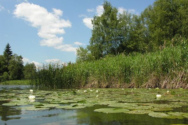 Rund um den Furtnerteich