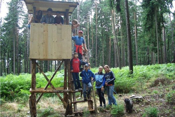 Waldweg der Lebensfreude