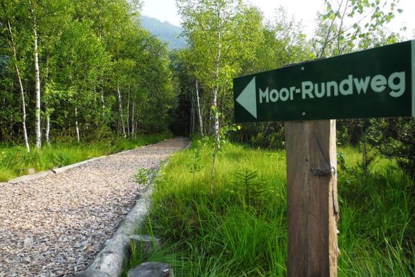 Moorweg Pürgschachen
