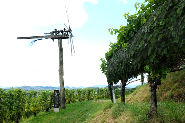 Steirischer Obst- und Weinlehrpfad Silberberg