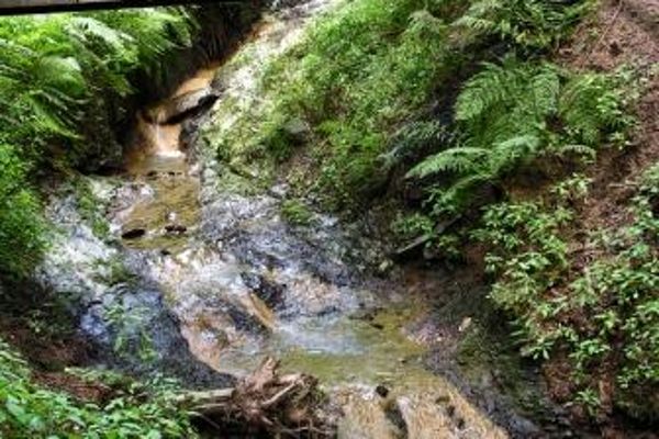Stift St. Lambrecht und die Klamm					
