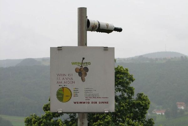Weinweg der Sinne