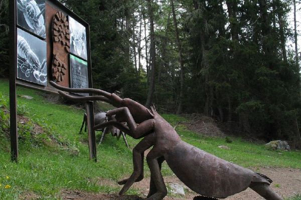 Waldlehrpfad Zedlacher Paradies