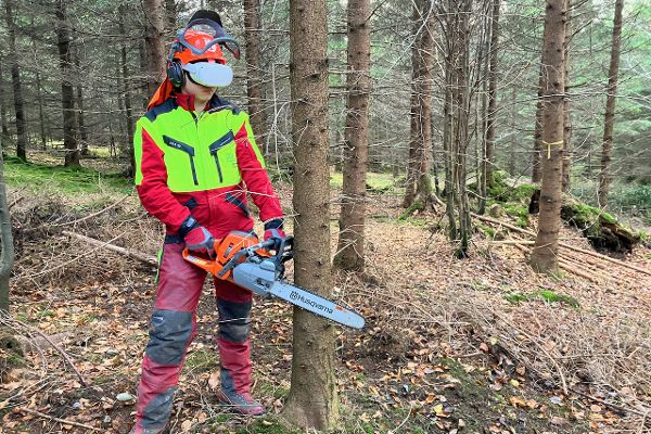 Waldarbeit Training