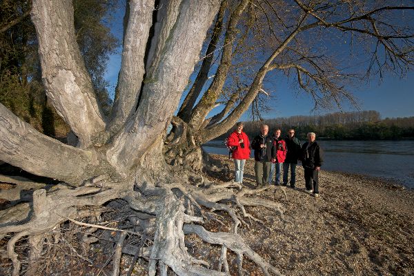 Nationalpark Donau-Auen