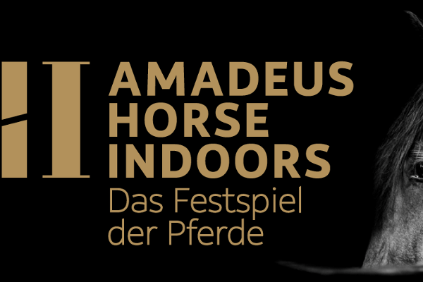 Amadeus Horse Indoors
