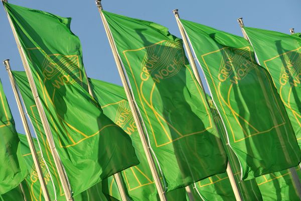 Fahnen der Internationale Grüne Woche Berlin 2012