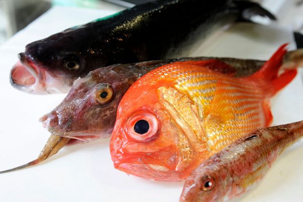 Fische