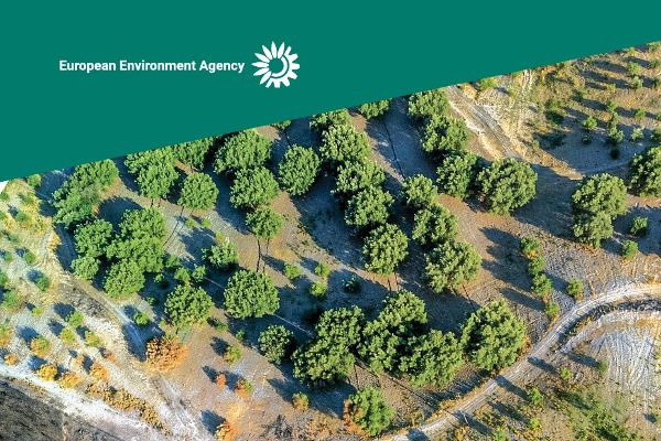 EEA Publikation: Climate resilience in Europe, 2025 — progress and challenges