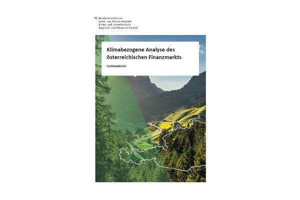 Finanzmarktanalyse