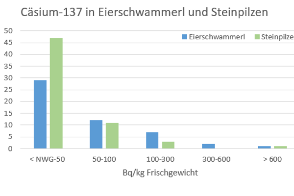Verteilung der Cäsium-137-Aktivitätskonzentration in Eierschwammerlproben und Steinpilzen