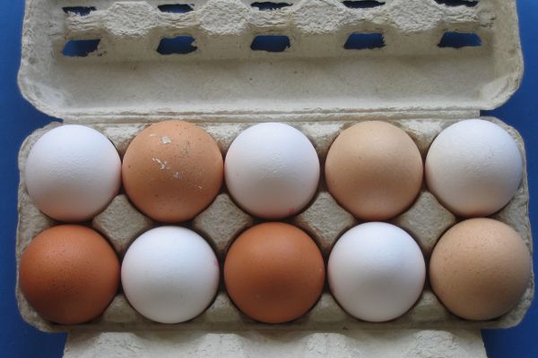 10 Eier in Kartonverpackung