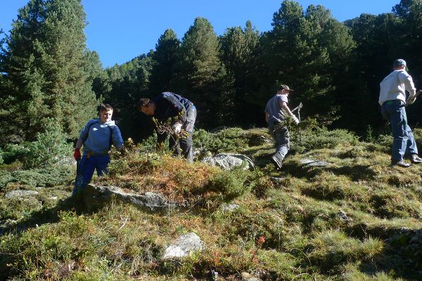 Menschen beim Arbeiten in der Natur