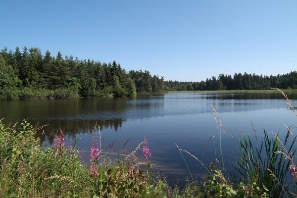 Gaisbachteich 