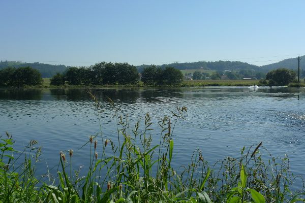 Fischproduktionsbetrieb Menzel
