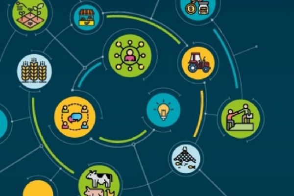 Landwirtschaftliche Symbole in einem Netzwerk