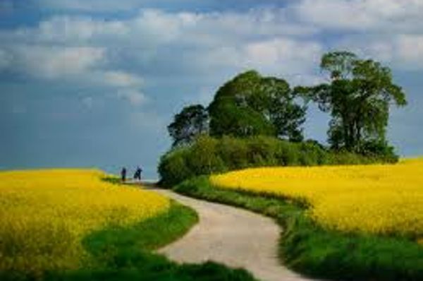 Landschaftsaufnahme