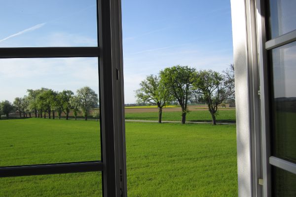Blick aus dem Fenster in die Natur