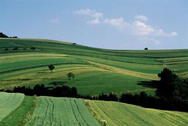 Kulturlandschaft im Sommer