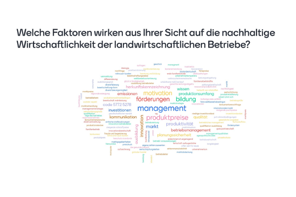 Wortwolke: Welche Faktoren wirken aus Ihrer Sicht auf die nachhaltige Wirtschaftlichkeit der landwirtschaftlichen Betriebe? Große Worte sind: Management, Förderungen, Produktpreise, Motivation, Bildung, Produktivität