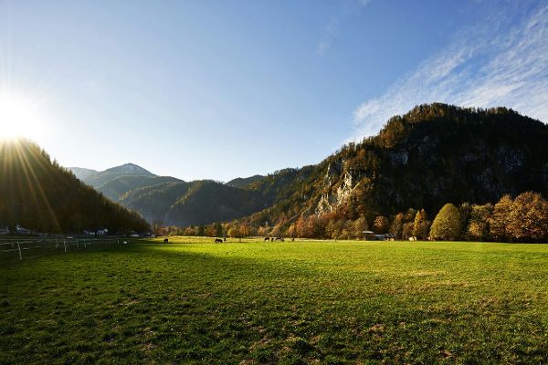 Berglandschaft mit Wiese