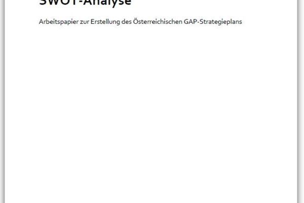 Coverbild der Stärken-Schwächen-Chancen-Risiken-Analyse ohne Grafik