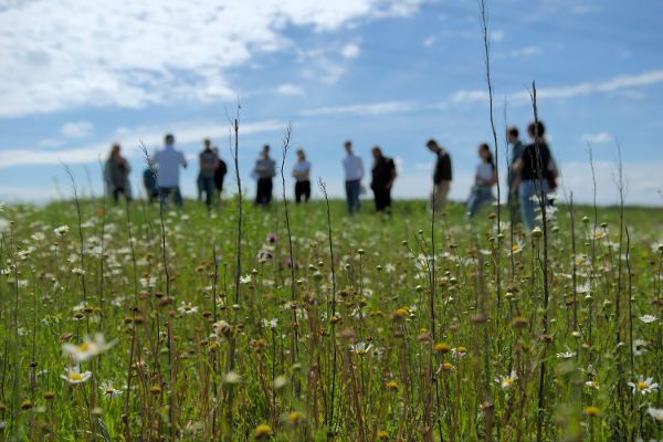 Menschen auf dem Acker besprechen Anlage und Pflege von Biodiversitätsflächen.