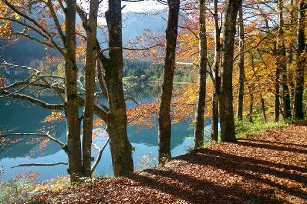 Berglandschaft