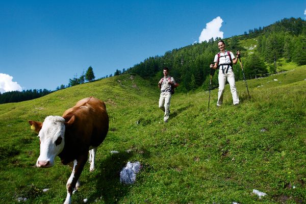 Wanderer auf der Alm mit Kuh